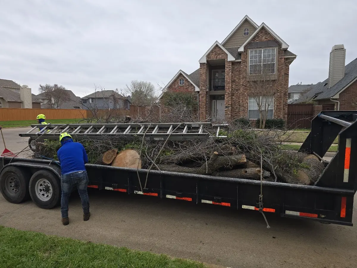 Expert Tree Fertilization with proper safety equipment in Gillsville